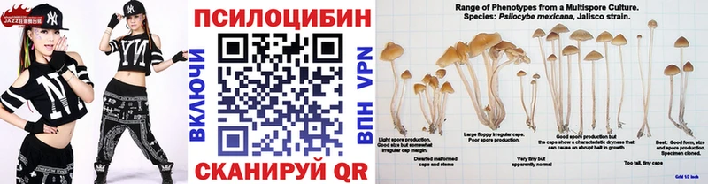 Галлюциногенные грибы Cubensis  Купить где  Завитинск 