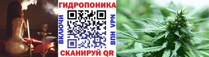 Купить где  Завитинск  Конопля гибрид 
